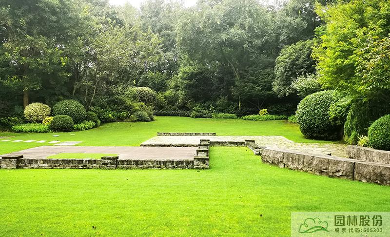 亚洲精品白浆高清久久久久久