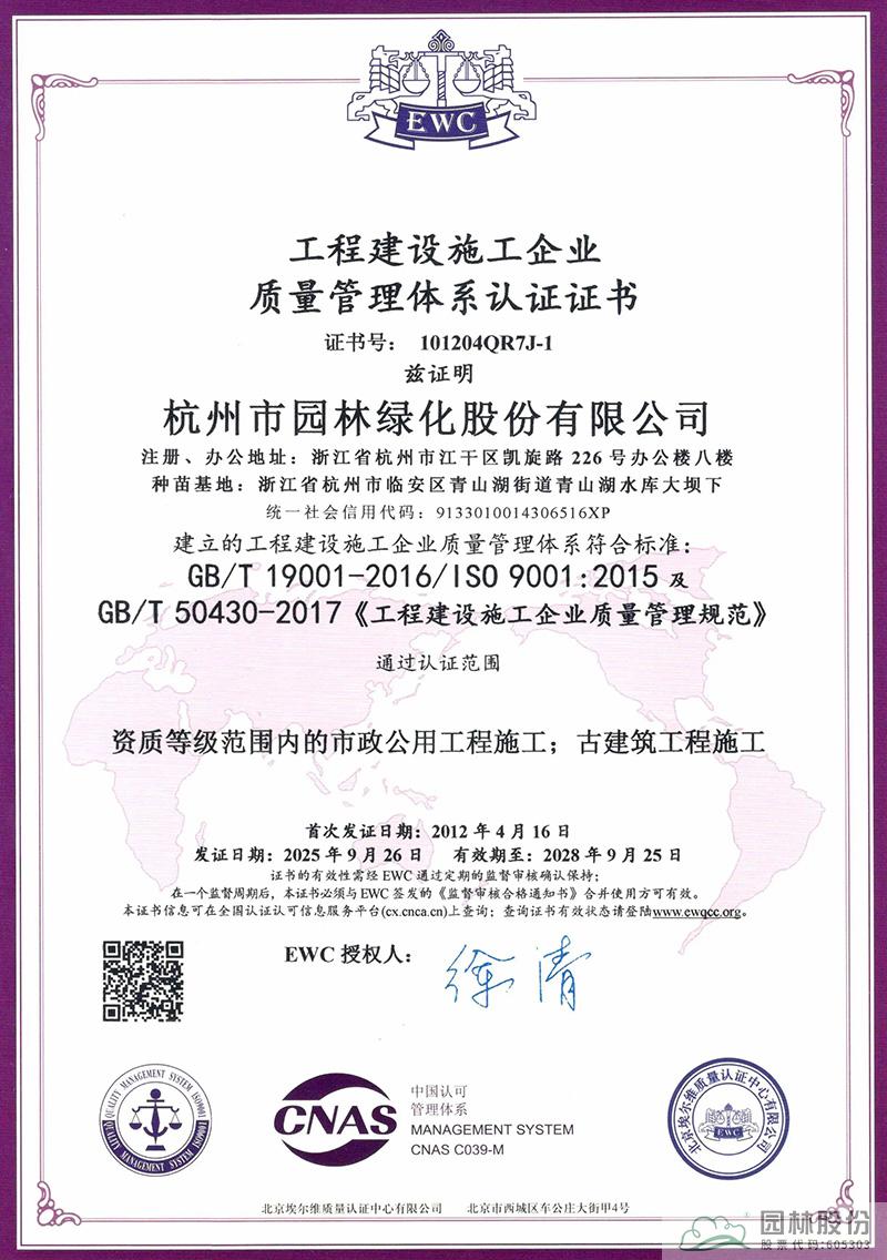 亚洲精品白浆高清久久久久久