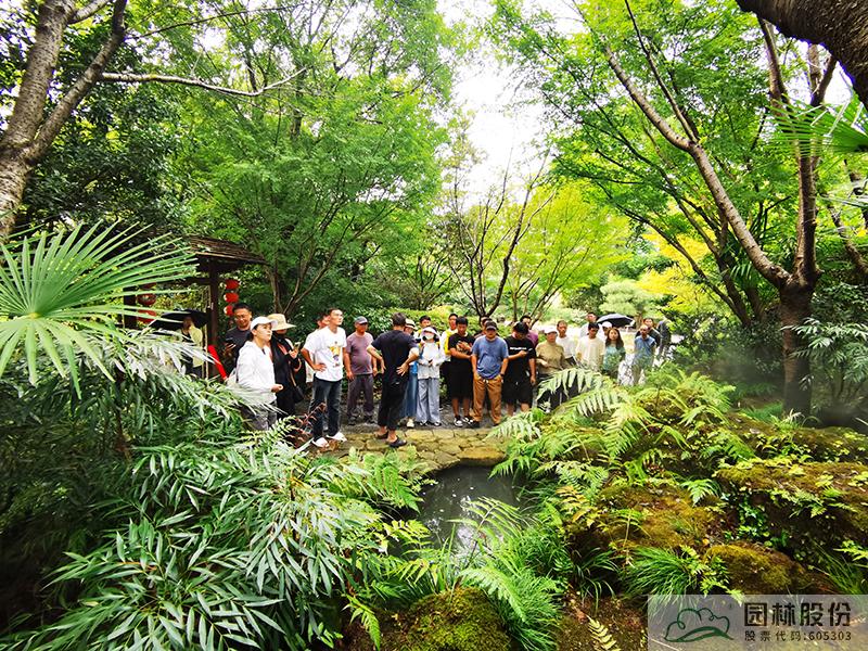 亚洲精品白浆高清久久久久久