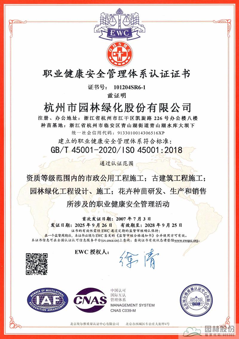 亚洲精品白浆高清久久久久久