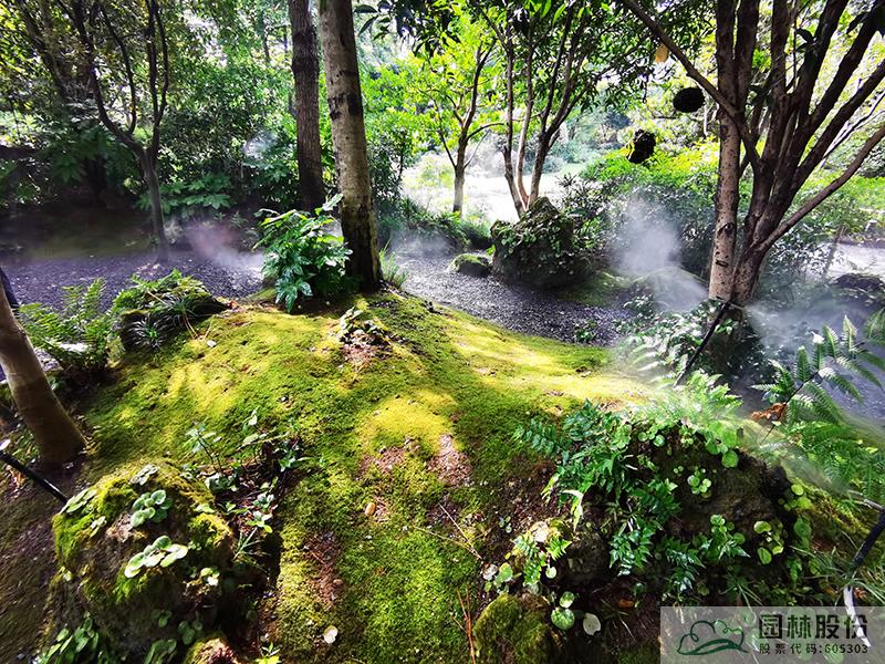 亚洲精品白浆高清久久久久久