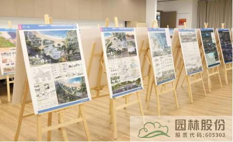 亚洲精品白浆高清久久久久久