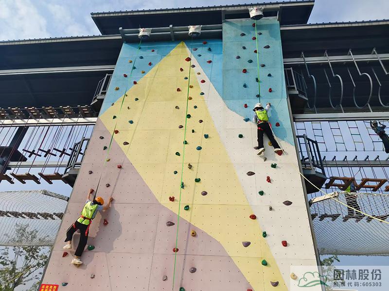 亚洲精品白浆高清久久久久久