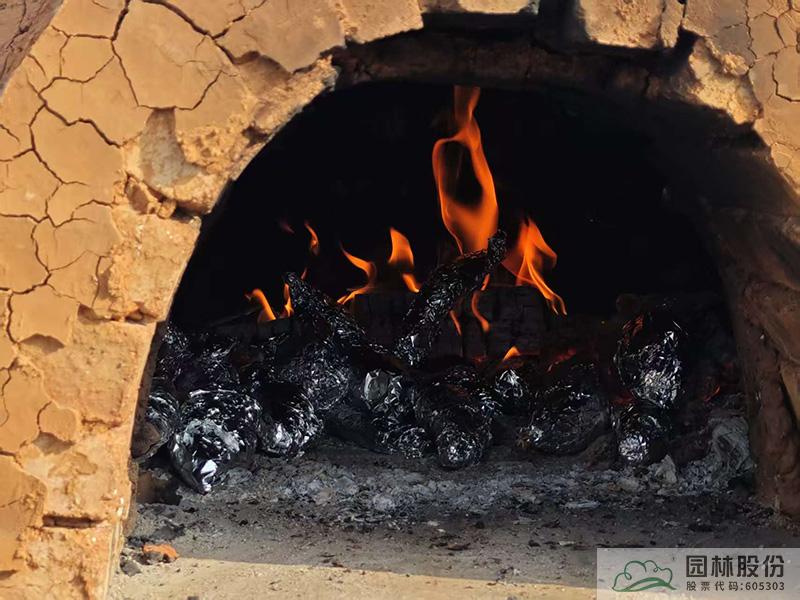 亚洲精品白浆高清久久久久久