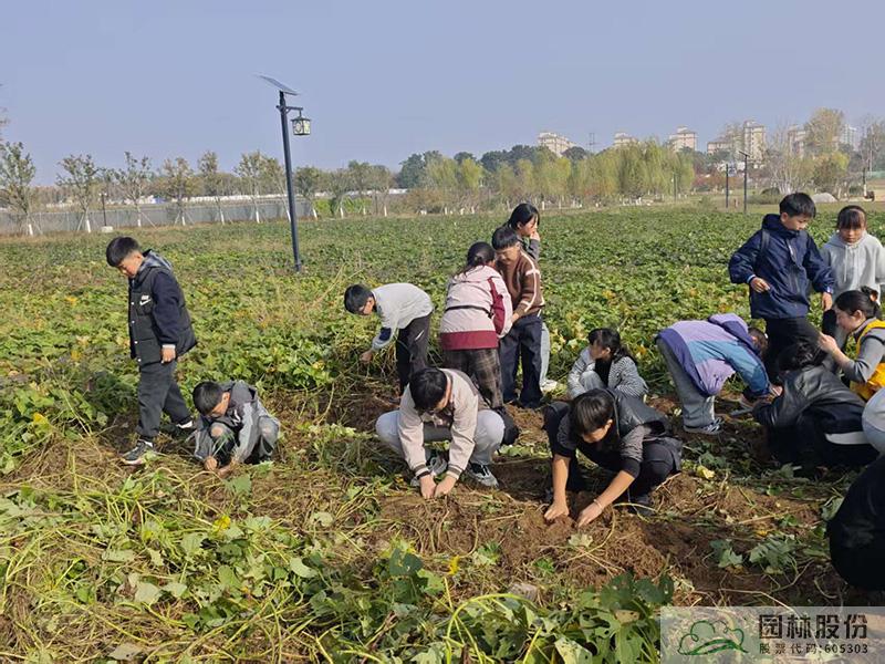 亚洲精品白浆高清久久久久久