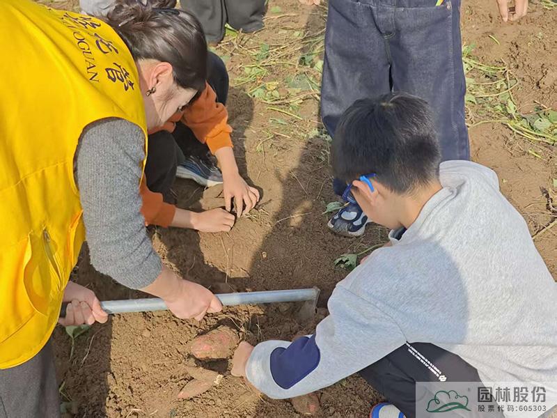 亚洲精品白浆高清久久久久久