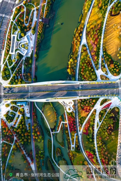 亚洲精品白浆高清久久久久久