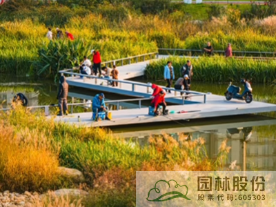 亚洲精品白浆高清久久久久久