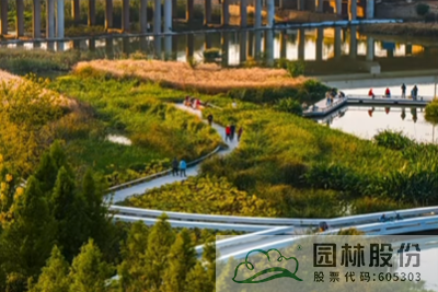 亚洲精品白浆高清久久久久久