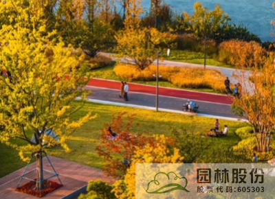 亚洲精品白浆高清久久久久久