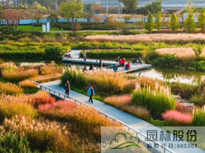 亚洲精品白浆高清久久久久久