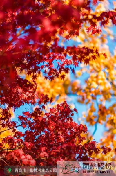 亚洲精品白浆高清久久久久久