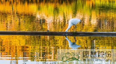 亚洲精品白浆高清久久久久久