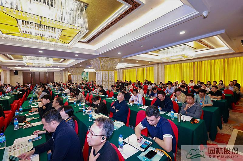 亚洲精品白浆高清久久久久久