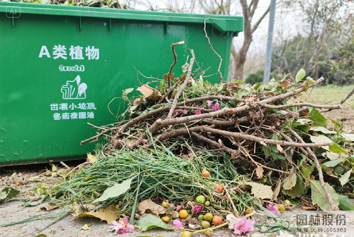 亚洲精品白浆高清久久久久久