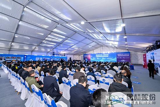 亚洲精品白浆高清久久久久久