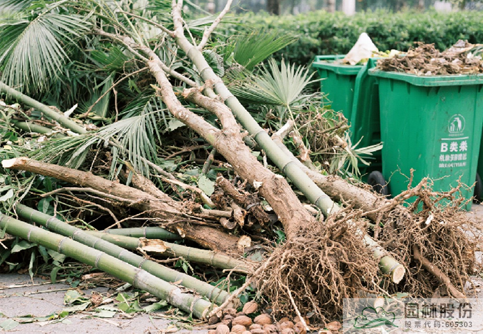 亚洲精品白浆高清久久久久久