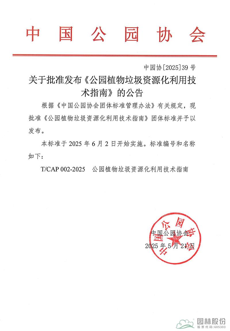 亚洲精品白浆高清久久久久久