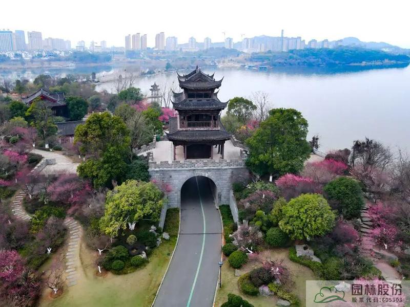 亚洲精品白浆高清久久久久久