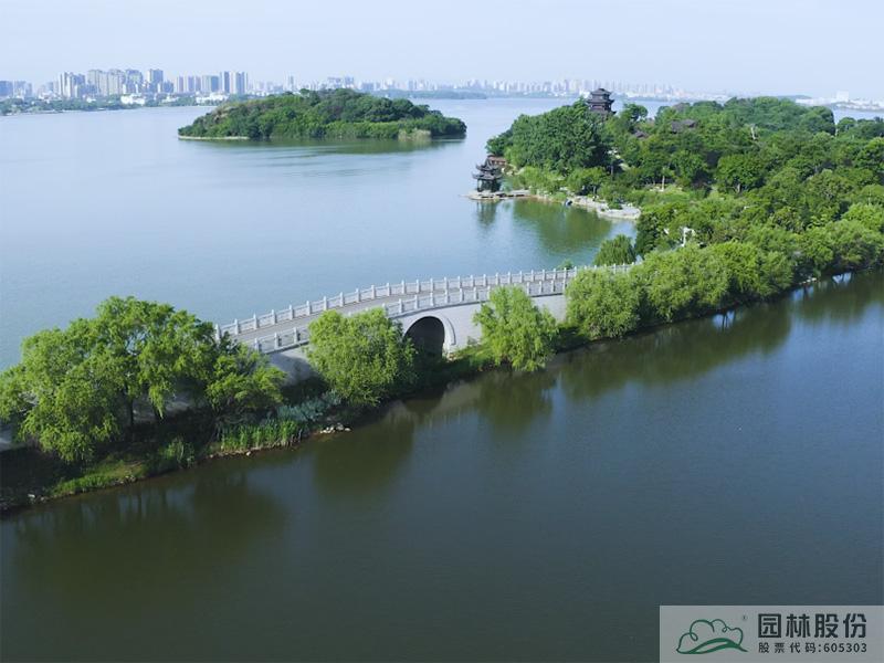 亚洲精品白浆高清久久久久久