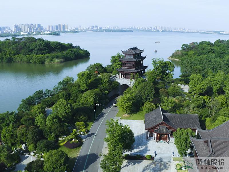 亚洲精品白浆高清久久久久久