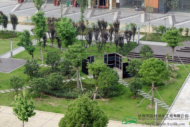 亚洲精品白浆高清久久久久久