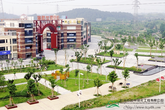 亚洲精品白浆高清久久久久久