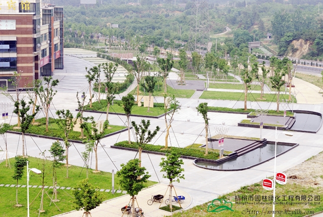 亚洲精品白浆高清久久久久久