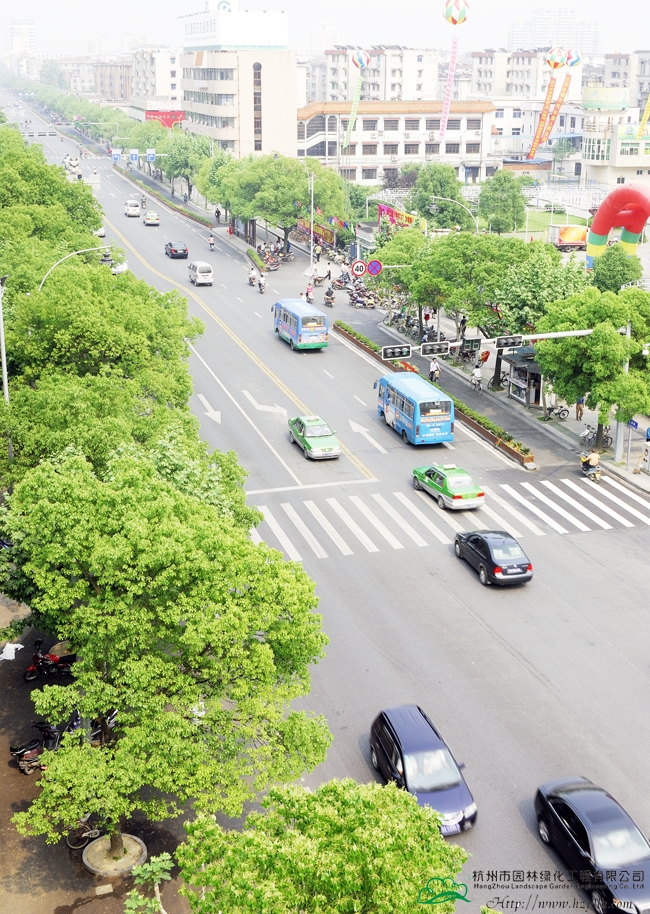 亚洲精品白浆高清久久久久久