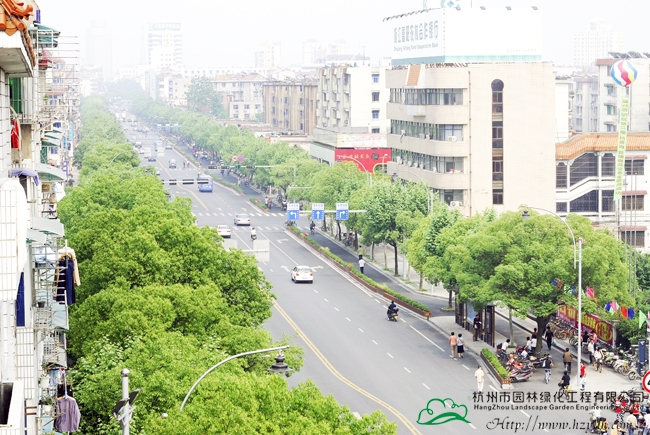 亚洲精品白浆高清久久久久久