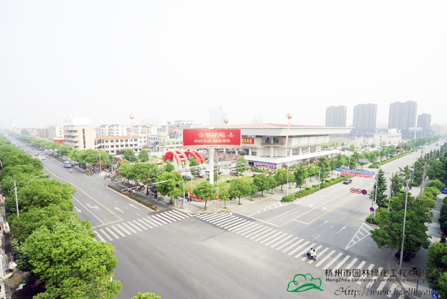 亚洲精品白浆高清久久久久久