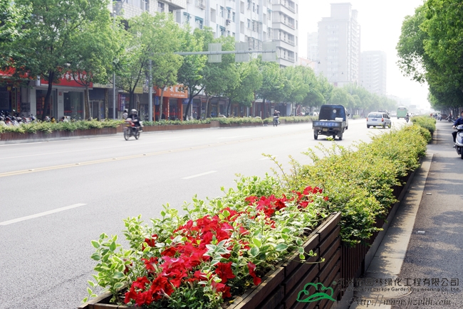 亚洲精品白浆高清久久久久久