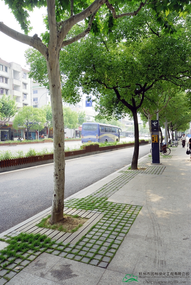 亚洲精品白浆高清久久久久久