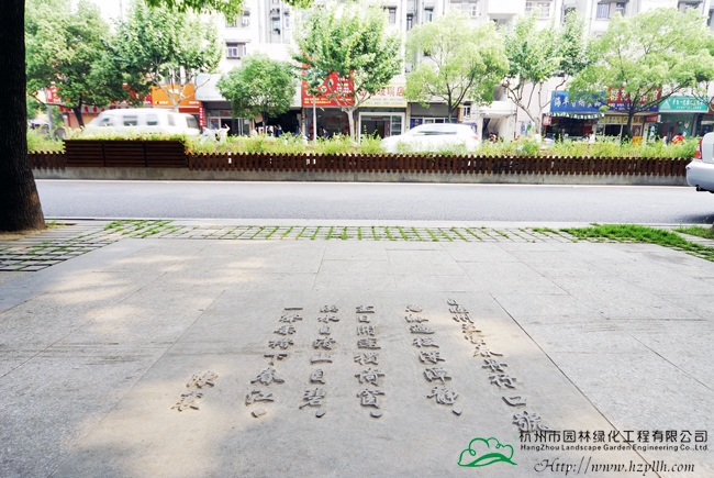 亚洲精品白浆高清久久久久久