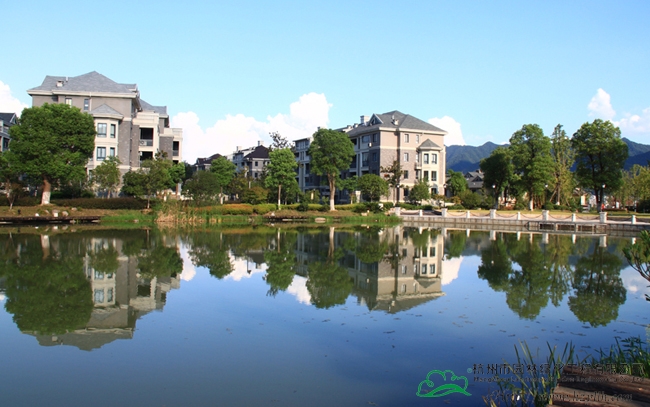 亚洲精品白浆高清久久久久久