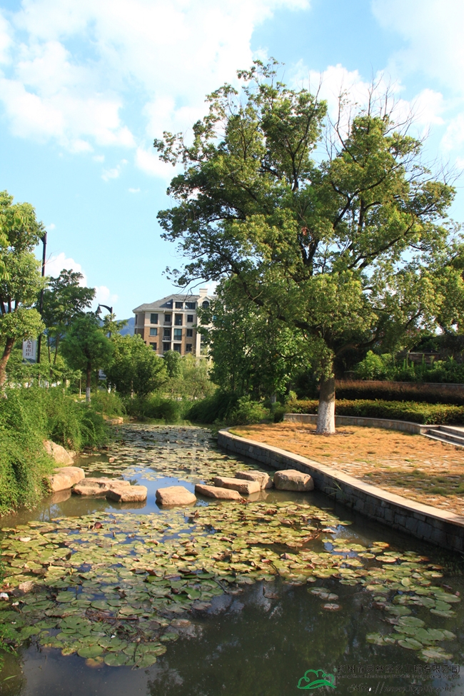 亚洲精品白浆高清久久久久久