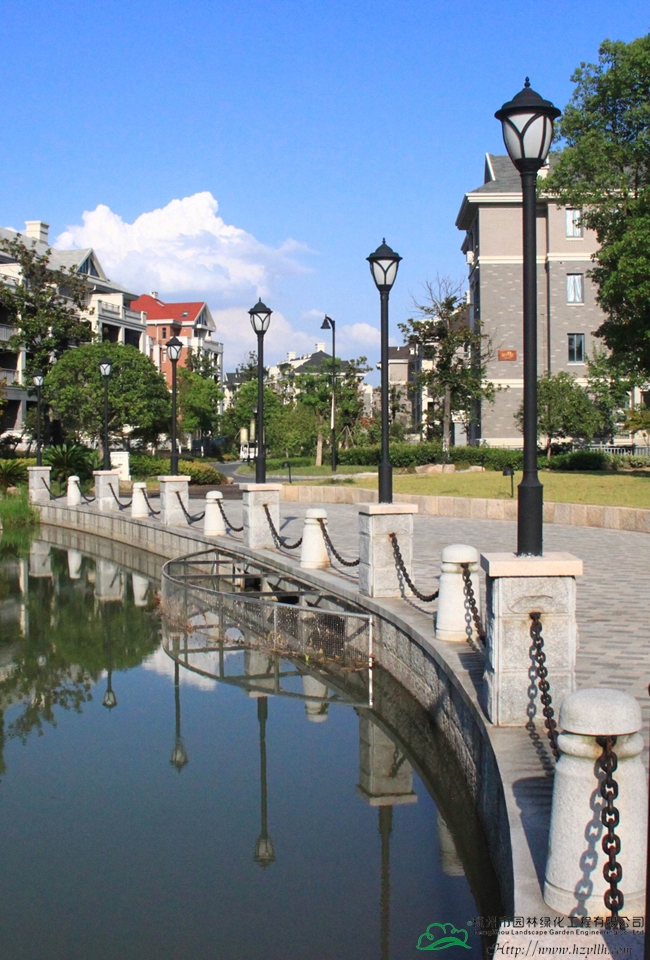 亚洲精品白浆高清久久久久久