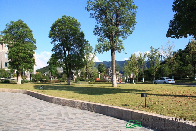 亚洲精品白浆高清久久久久久