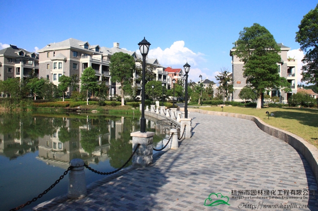 亚洲精品白浆高清久久久久久