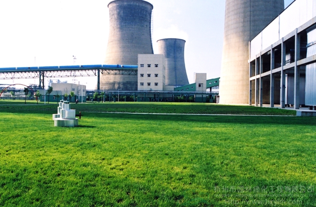 亚洲精品白浆高清久久久久久