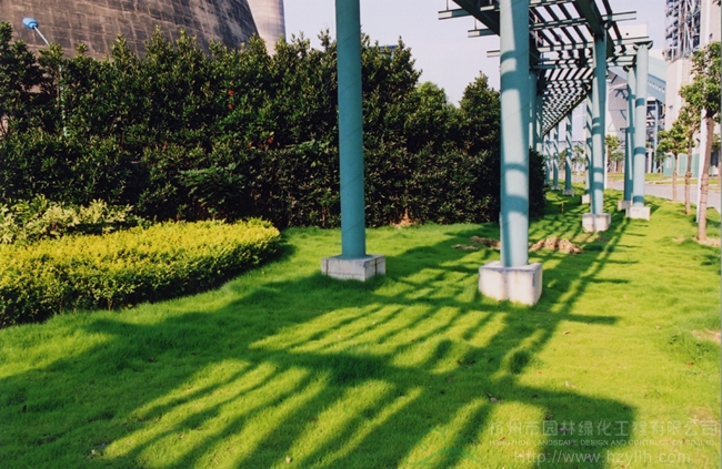 亚洲精品白浆高清久久久久久