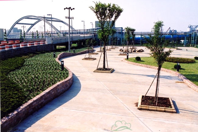 亚洲精品白浆高清久久久久久