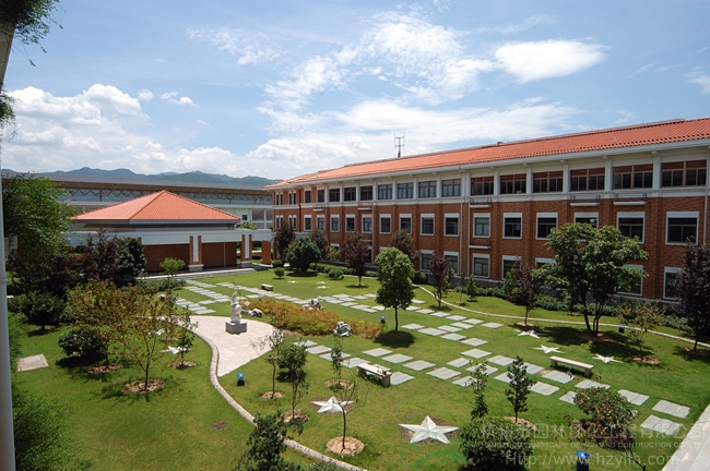 亚洲精品白浆高清久久久久久