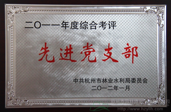 亚洲精品白浆高清久久久久久