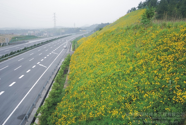 亚洲精品白浆高清久久久久久