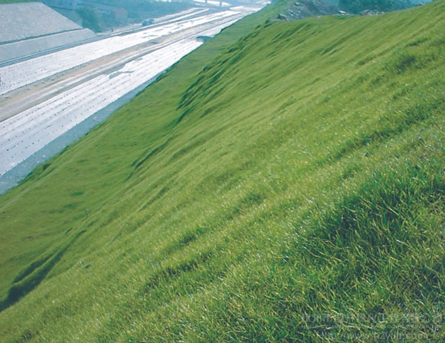 亚洲精品白浆高清久久久久久