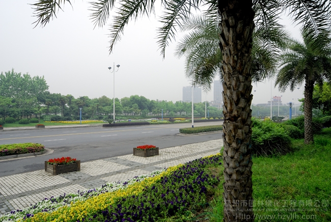 亚洲精品白浆高清久久久久久