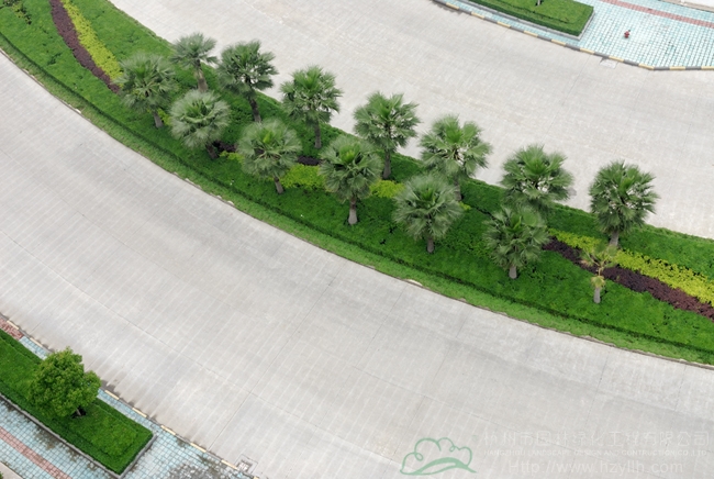 亚洲精品白浆高清久久久久久