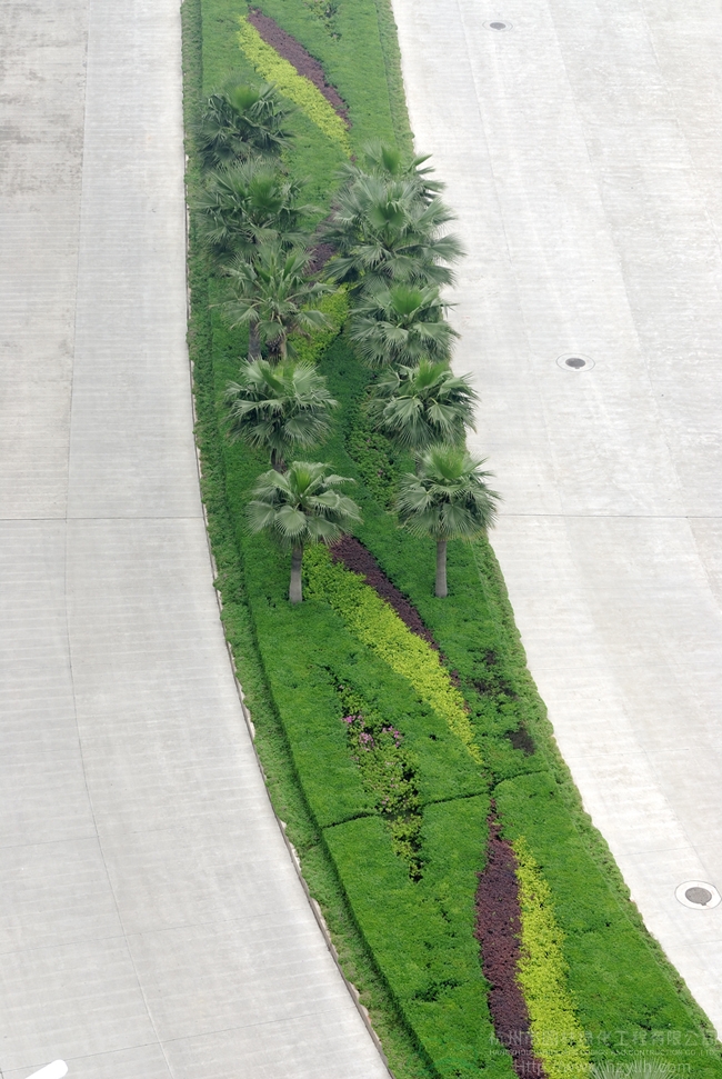 亚洲精品白浆高清久久久久久