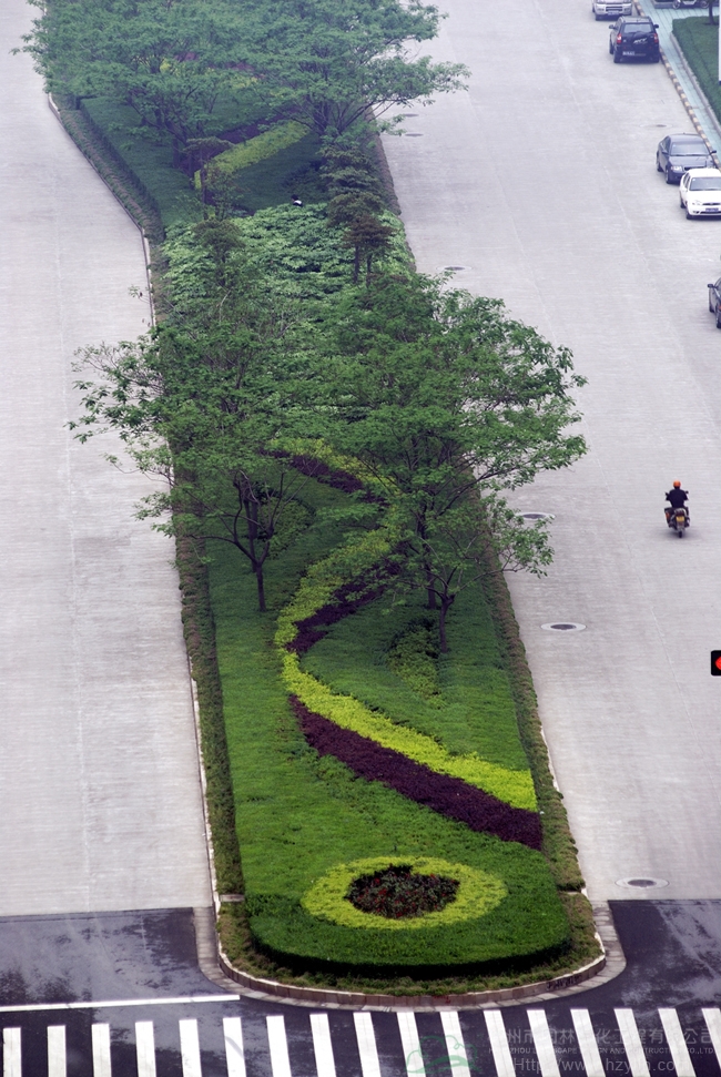 亚洲精品白浆高清久久久久久